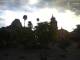 Bernal 11.05.2025 06:58