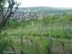 Feuerbach 23.04.2025 06:58