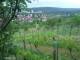 Feuerbach 19.05.2025 06:58