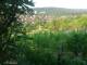 Feuerbach 12.06.2025 06:58