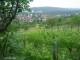 Feuerbach 14.06.2025 06:58