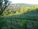 Feuerbach 11.05.2025 06:58