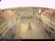 Lutherstadt Eisleben 09.06.2025 06:58