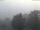Parkstein 15.07.2025 06:08