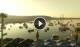 Marsaxlokk 05.07.2025 06:58