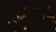 San Antonio, Texas 30.04.2025 06:13