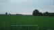 't Zandt 15.06.2025 06:58