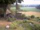 Schneverdingen 09.07.2025 06:47