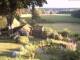 Schneverdingen 11.07.2025 06:47