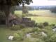 Schneverdingen 09.06.2025 06:47