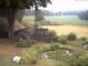 Schneverdingen 15.07.2025 06:48