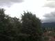 Gmund am Tegernsee 09.07.2025 06:47