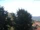 Gmund am Tegernsee 01.07.2025 06:47