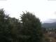 Gmund am Tegernsee 15.07.2025 06:48