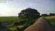 Schwinge 14.06.2025 06:58