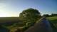 Schwinge 11.05.2025 06:59