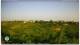 Torrevecchia Teatina 09.06.2025 06:59