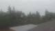 Medina, Washington 04.08.2026 06:16