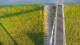 Friedrichskoog-Spitze 11.05.2025 06:04