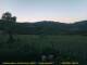 Cantalupo Ligure 08.07.2025 06:04