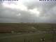 Hallig Hooge 05.07.2025 06:47