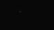 Seignosse 30.04.2025 06:07