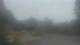Madison, Tennessee 14.06.2025 06:31