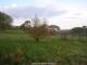 Dartmoor 30.04.2025 06:47