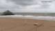Blankenberge 04.05.2025 06:08