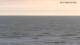 Blankenberge 15.07.2025 06:19