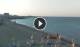 Torre Mozza 09.06.2025 06:09