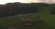 Rohrberg 15.06.2025 06:10