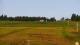 Zieleniec 09.06.2025 06:10
