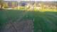 Zieleniec 30.04.2025 06:10