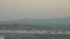 Alvor (Algarve) 22.06.2025 06:28