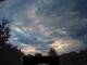 Oberesslingen 03.07.2025 06:11