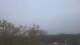 Brunswick, Ohio 18.03.2025 06:32