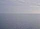 AIDAstella 15.06.2025 06:11