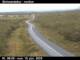 Skinnastaður 15.06.2025 06:12
