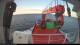 Minik Arctica 04.07.2025 06:12