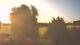 Mandelsloh 12.06.2025 06:12