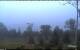 Parrsboro 14.07.2025 06:06