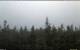 Bald Rock 01.07.2025 06:19