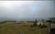 Iona 15.06.2025 06:28