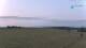 Berg am Starnberger See 09.06.2025 06:14