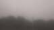 Wayland, Massachusetts 10.07.2025 06:34