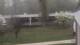 Cold Spring Harbor, New York 30.04.2025 06:34