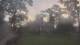 Richmond, Virginia 30.04.2025 06:34