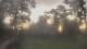Richmond, Virginia 14.07.2025 06:34