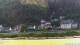 Bad Schandau 14.06.2025 06:48